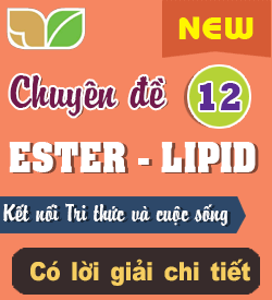 Ester - Lipid (KNTT)